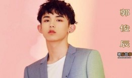 圈内小料爆料郭俊辰视频,圈内小料揭秘幕后真相